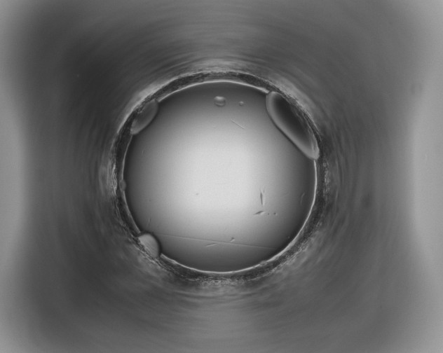 X0000116350973200912091126