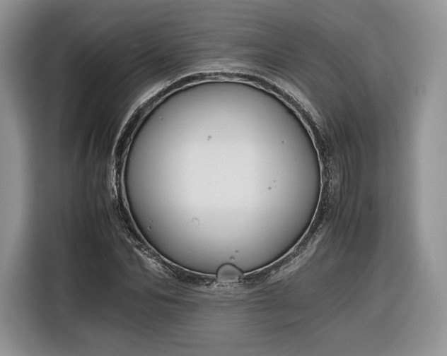 X0000116350974200912091126