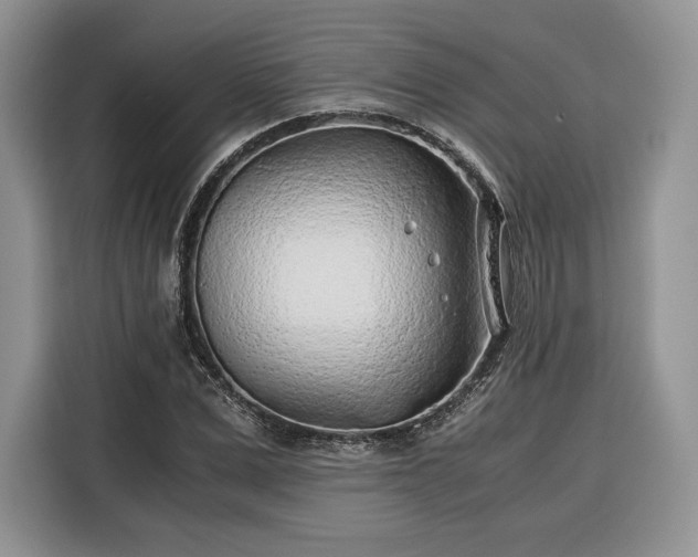 X0000116350975200912091126