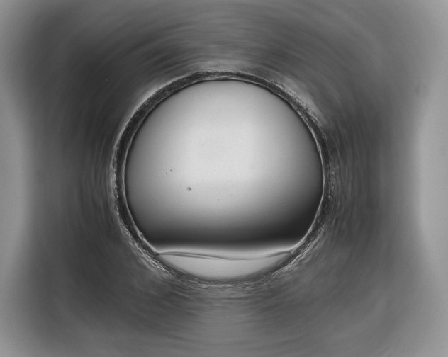 X0000116350976200912091126