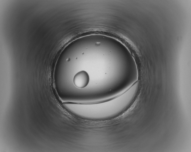 X0000116350977200912091126