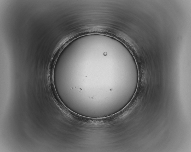 X0000116350978200912091126