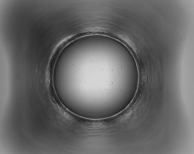 X0000116350979200912091126