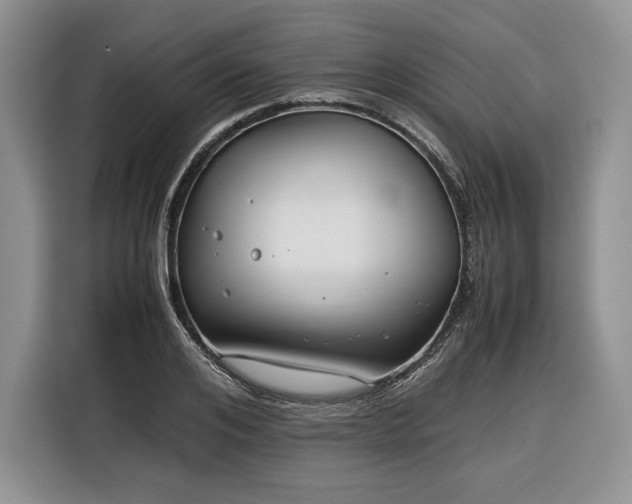 X0000116350984200912091126