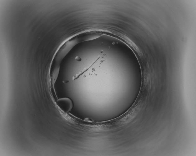 X0000116350988200912091126