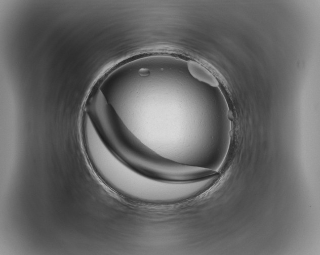 X0000116350989200912091126