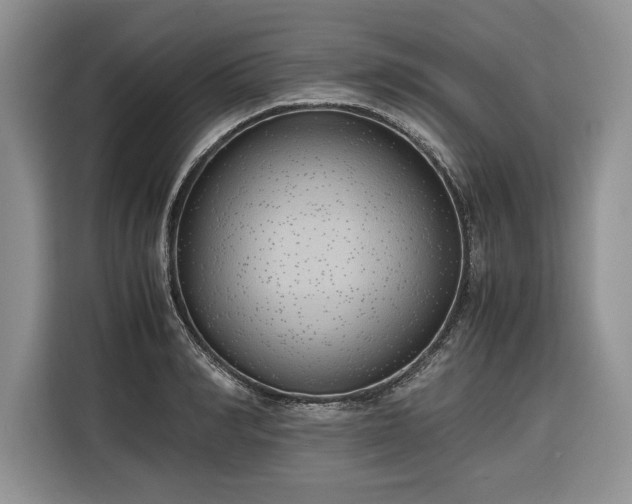 X0000116350990200912091126