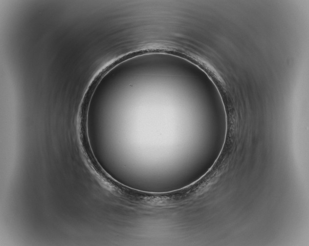 X0000116350991200912091126