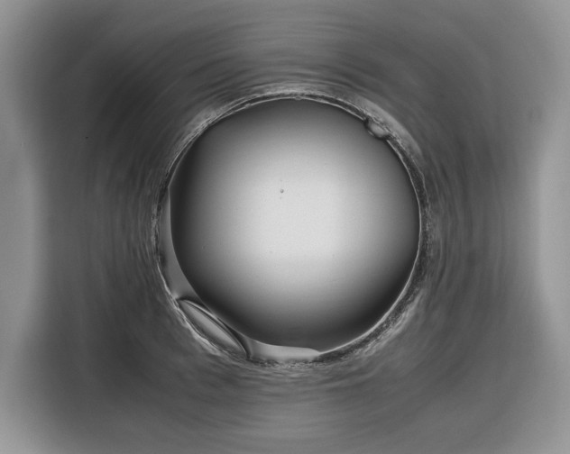 X0000116350993200912091126