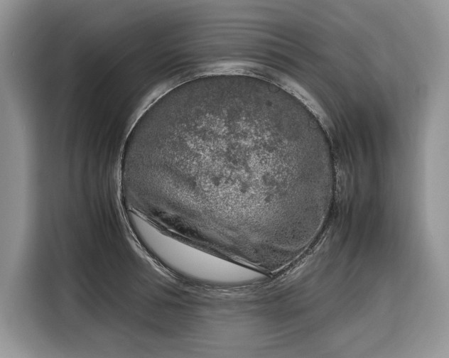 X0000116350994200912091126