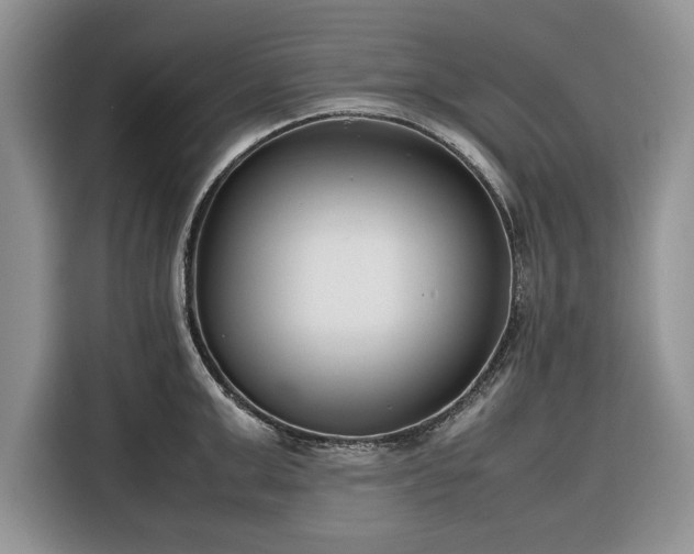 X0000116350999200912091126