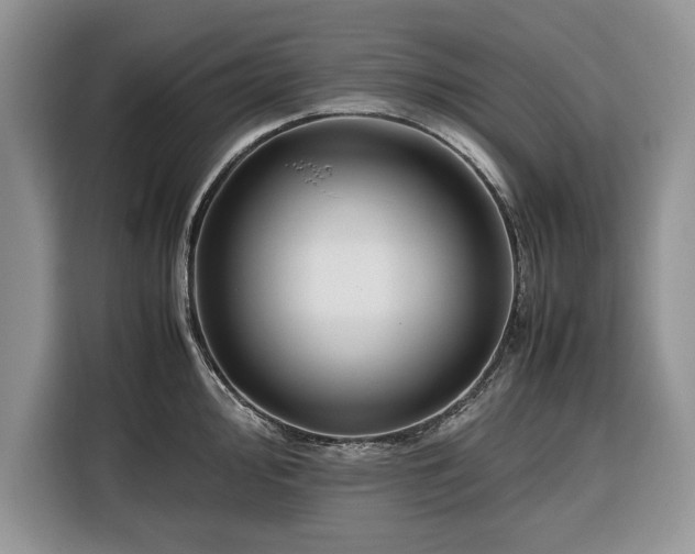 X0000116351000200912091126