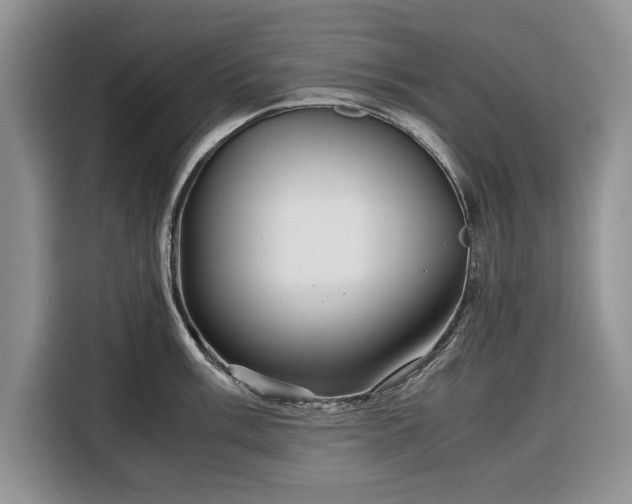 X0000116351003200912091126