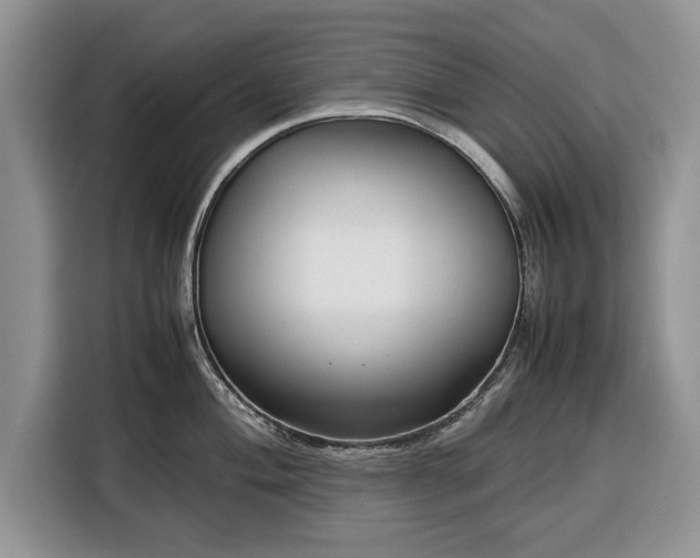 X0000116351004200912091126