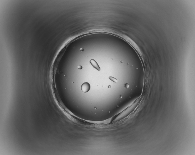 X0000116351005200912091126