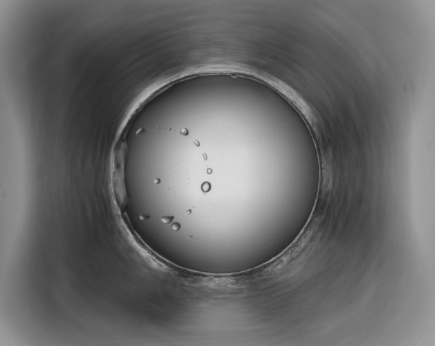 X0000116351006200912091126