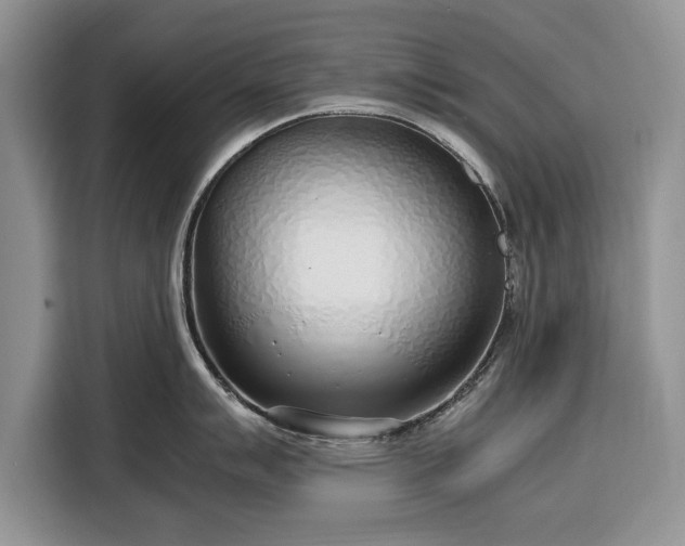 X0000116351007200912091126