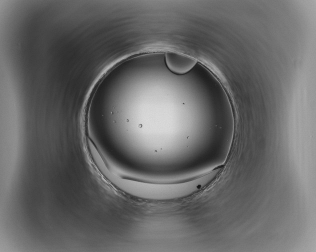 X0000116351008200912091126