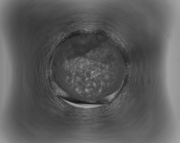 X0000116351009200912091125