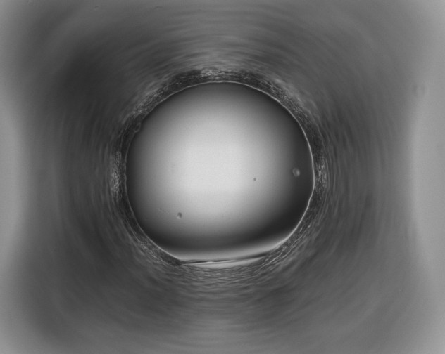 X0000116351012200912091125