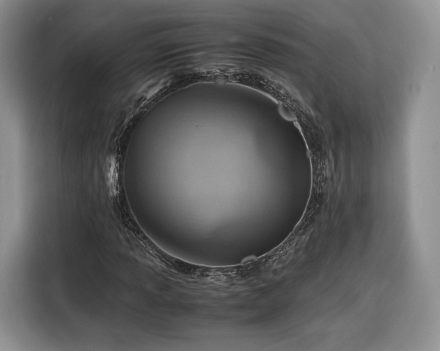 X0000116351013200912091125