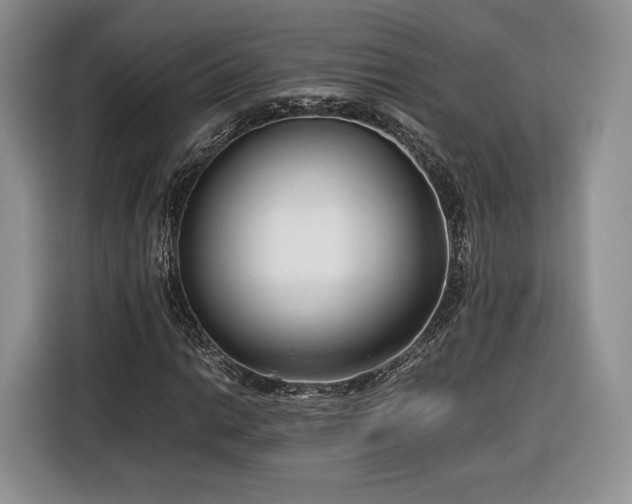 X0000116351014200912091125