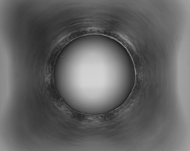 X0000116351015200912091125