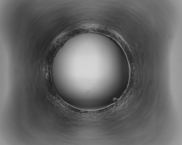 X0000116351016200912091125