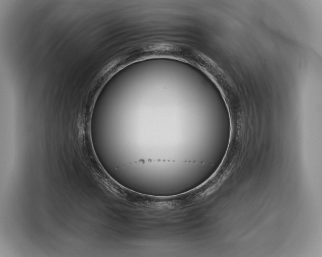 X0000116351017200912091125