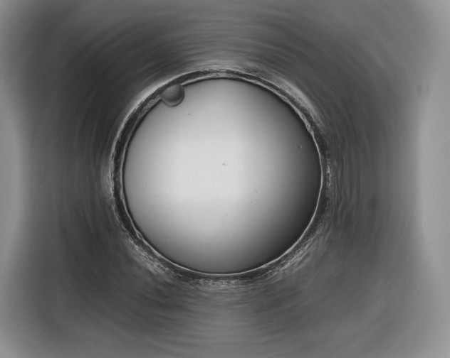 X0000116351020200912091125