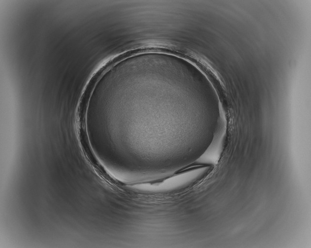 X0000116351024200912091125