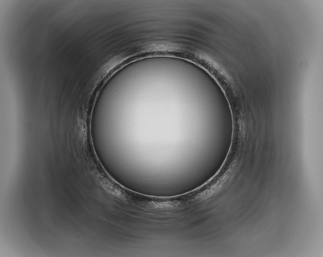 X0000116351025200912091125