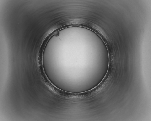 X0000116351026200912091125