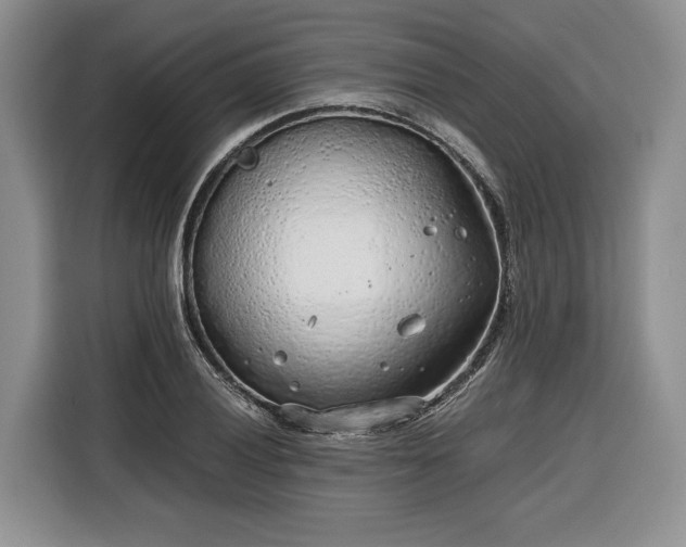 X0000116351028200912091125