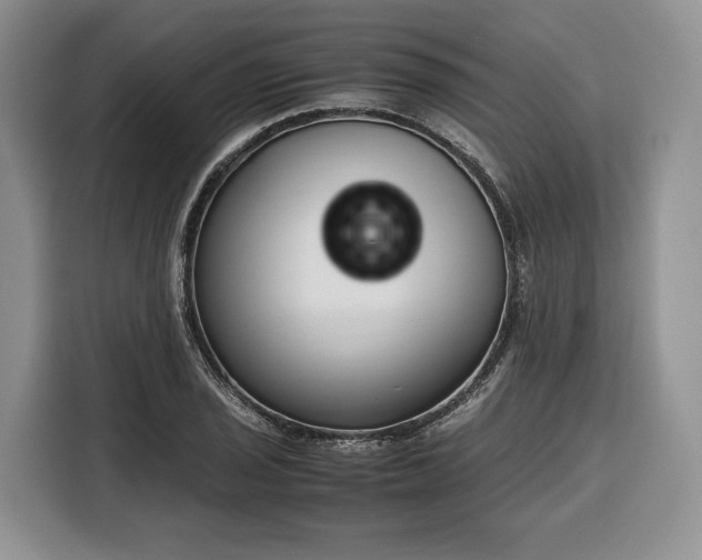 X0000116351029200912091125