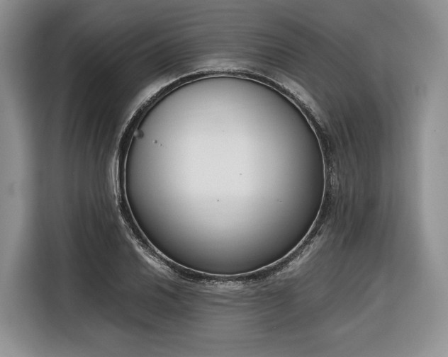 X0000116351030200912091125