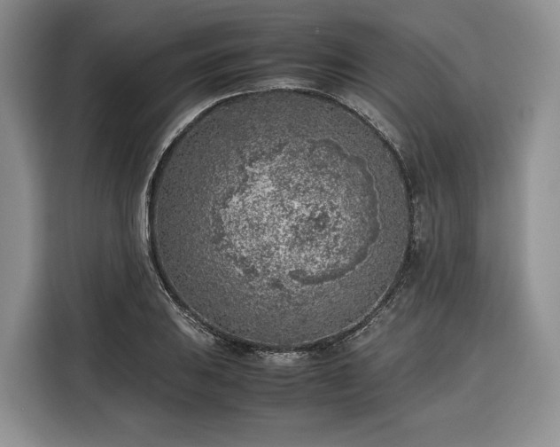 X0000116351031200912091125