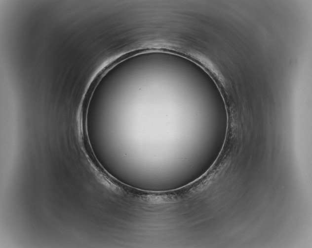 X0000116351032200912091125