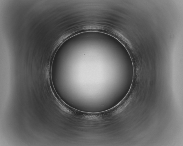 X0000116351033200912091125