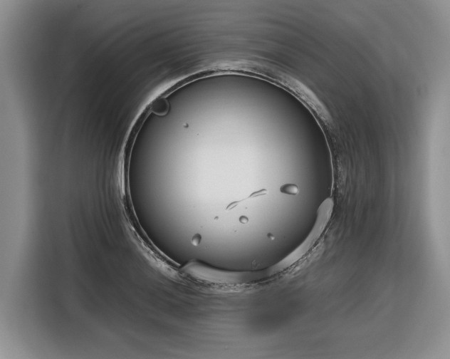 X0000116351036200912091126