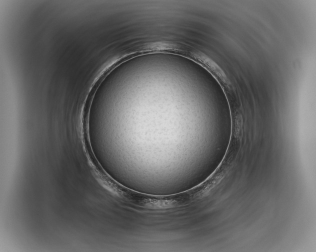 X0000116351039200912091126