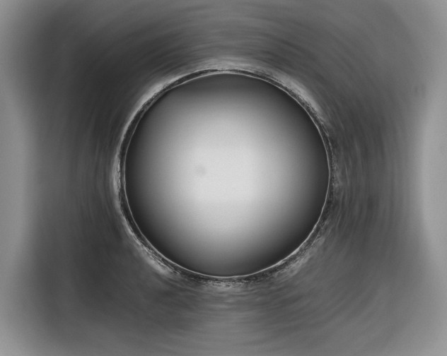 X0000116351040200912091126