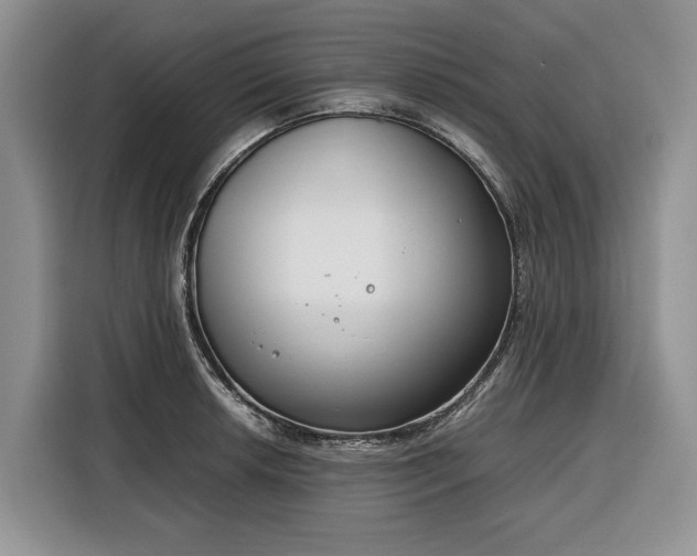 X0000116351042200912091126