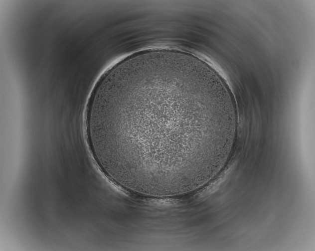 X0000116351045200912091126