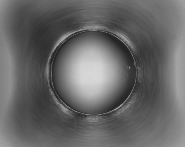 X0000116351046200912091126