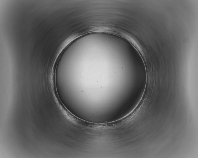 X0000116351050200912091126