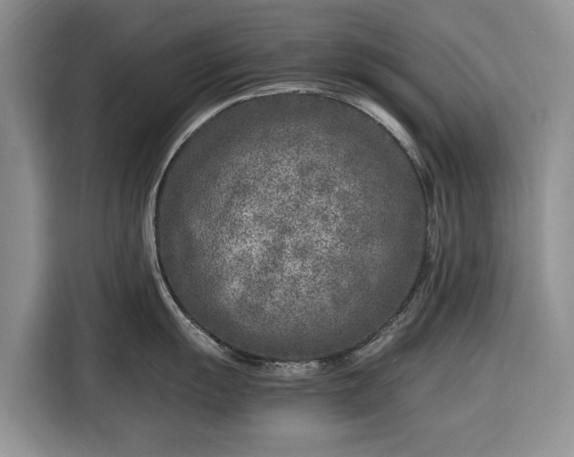 X0000116351055200912091126