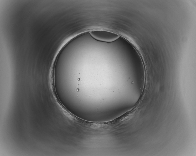 X0000116351056200912091126