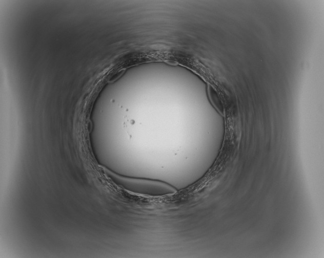 X0000116351057200912091125