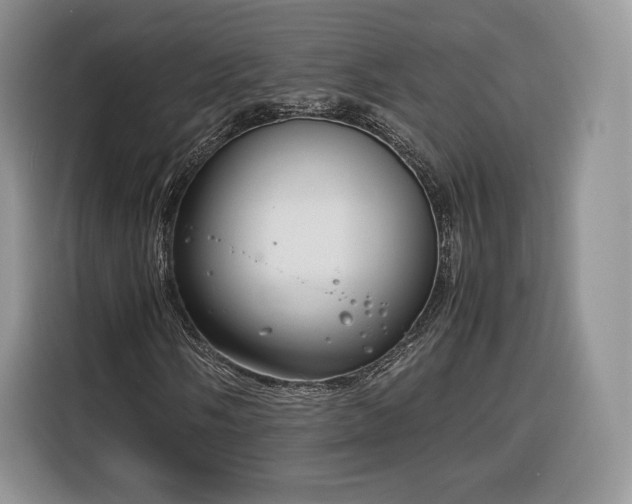 X0000116351058200912091125